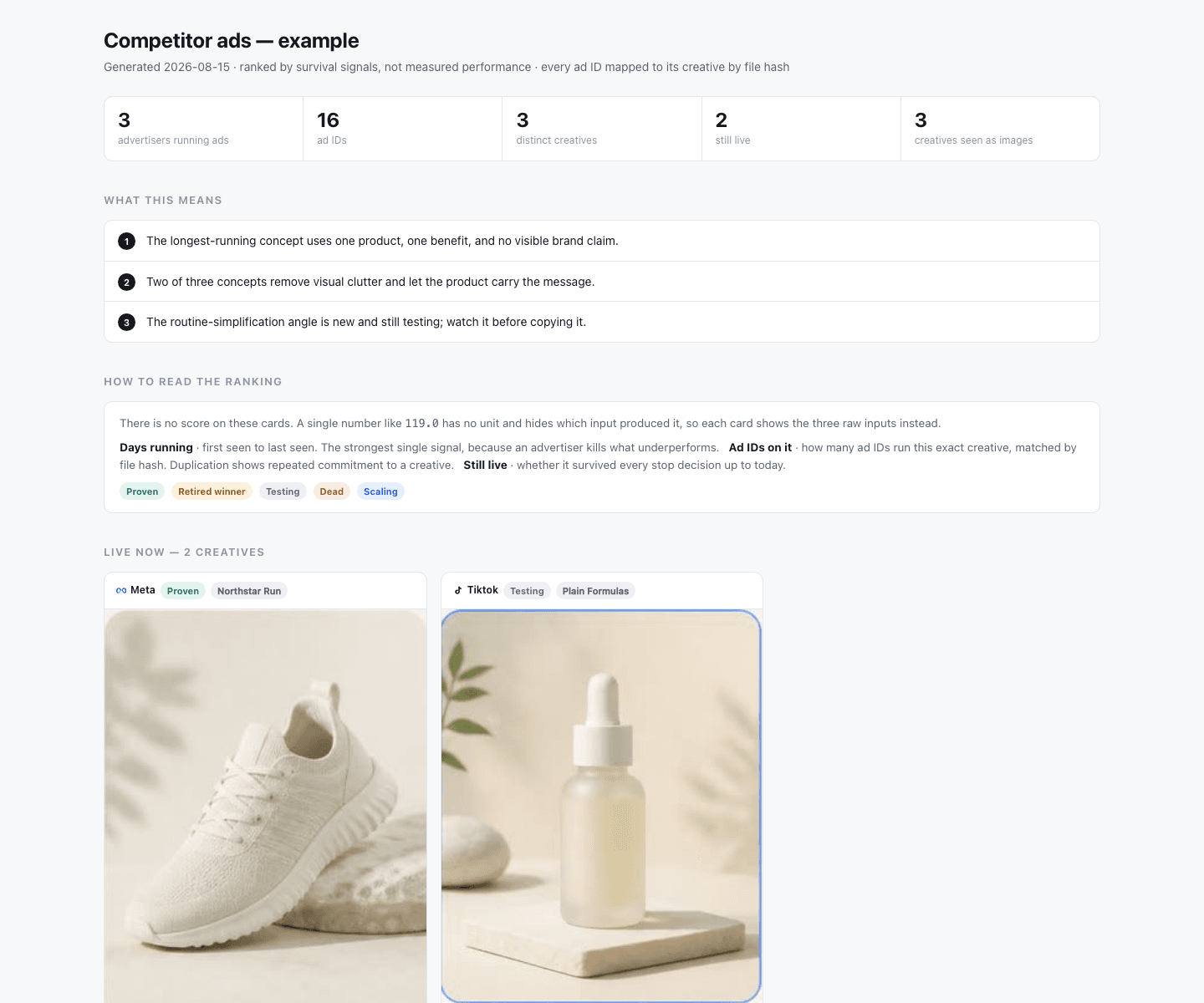 Example competitor ad swipe file with findings, ranking evidence, and ad creative cards